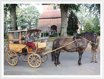 Wir haben große und kleine Ponies...